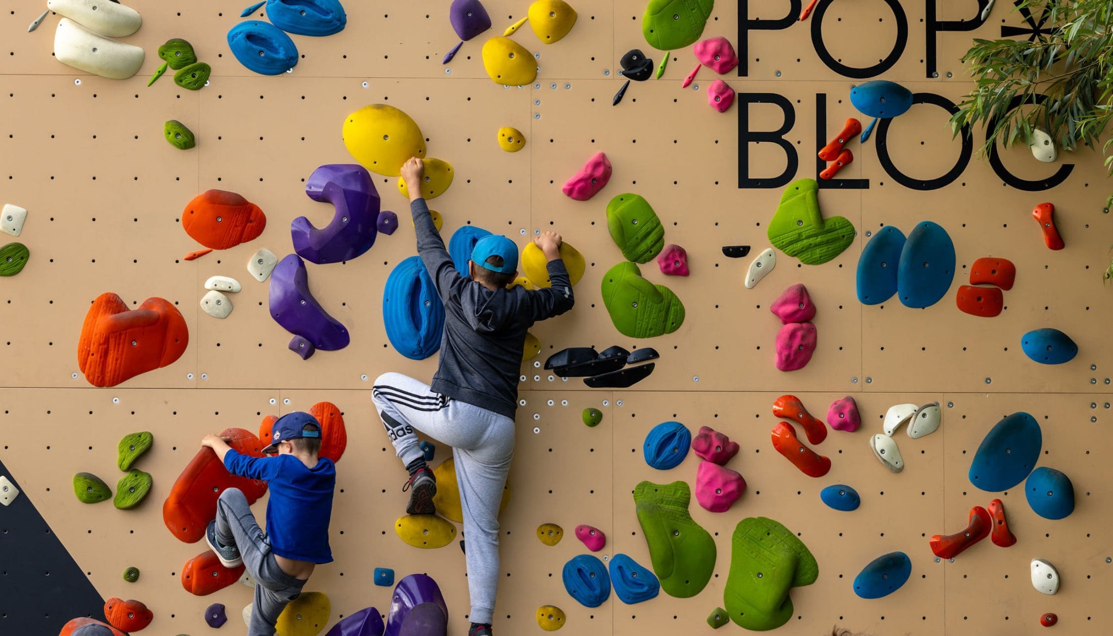 Mur d'escalade Pop Bloc Lévis 2026